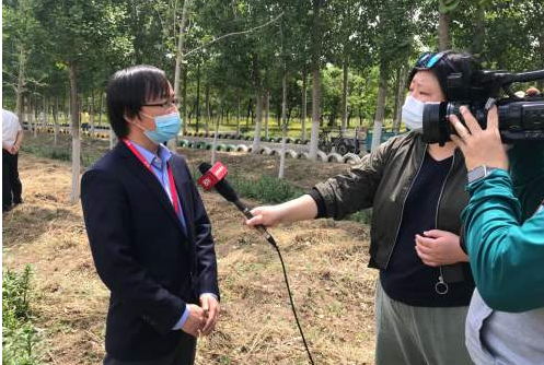 （热点）港城中药养生“深耕”银杏产业  泰州·民生  泰州新闻网  泰州报业传