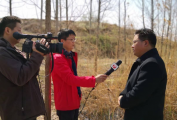 （热点）天气开启“小火慢炖”模式  泰州·民生  泰州新闻网  泰州报业传媒集